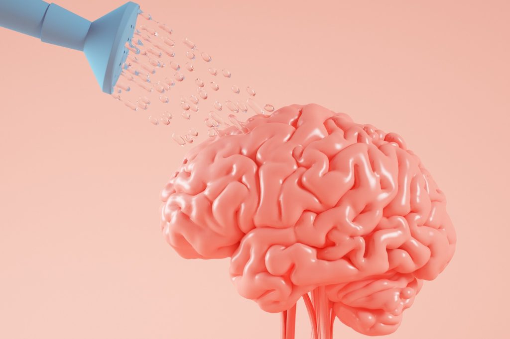 Un'immagine di un cervello "Innaffiato" da un innaffiatoio